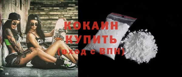гашик Карпинск