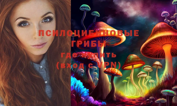 СК Касимов