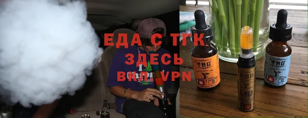 гашик Карпинск