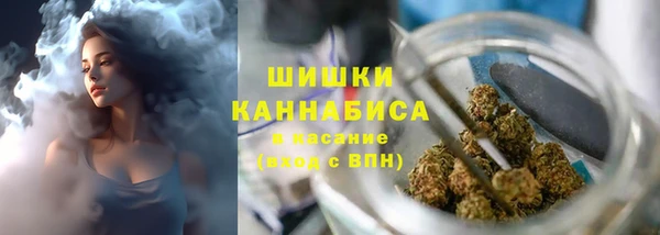 стаф Щучье