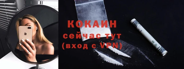 ГАЛЛЮЦИНОГЕННЫЕ ГРИБЫ Карталы