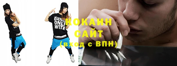гашик Карпинск