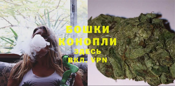 гашик Карпинск