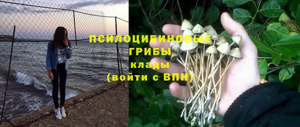 ГАЛЛЮЦИНОГЕННЫЕ ГРИБЫ Карталы