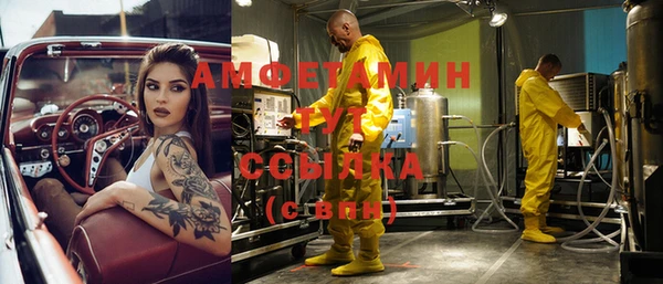 ГАЛЛЮЦИНОГЕННЫЕ ГРИБЫ Карталы