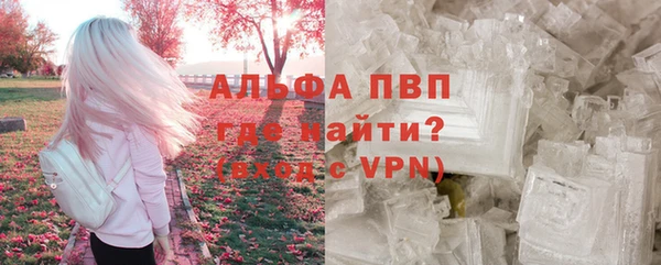 СК Касимов