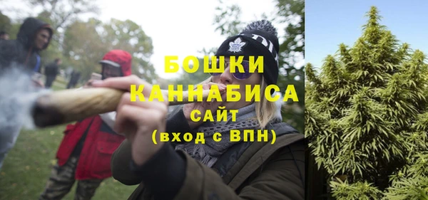 гашик Карпинск