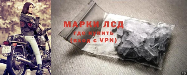 гашик Карпинск