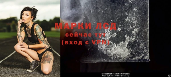 гашик Карпинск