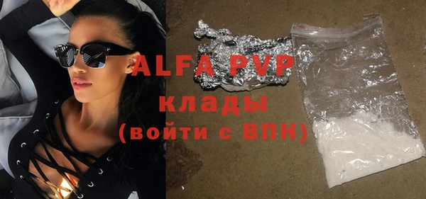 гашик Карпинск