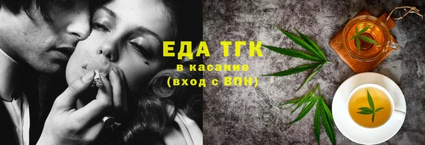 гашик Карпинск