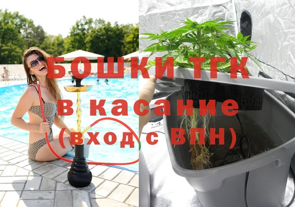 ГАЛЛЮЦИНОГЕННЫЕ ГРИБЫ Карталы