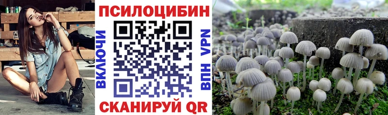 Купить  Луга  Псилоцибиновые грибы GOLDEN TEACHER 
